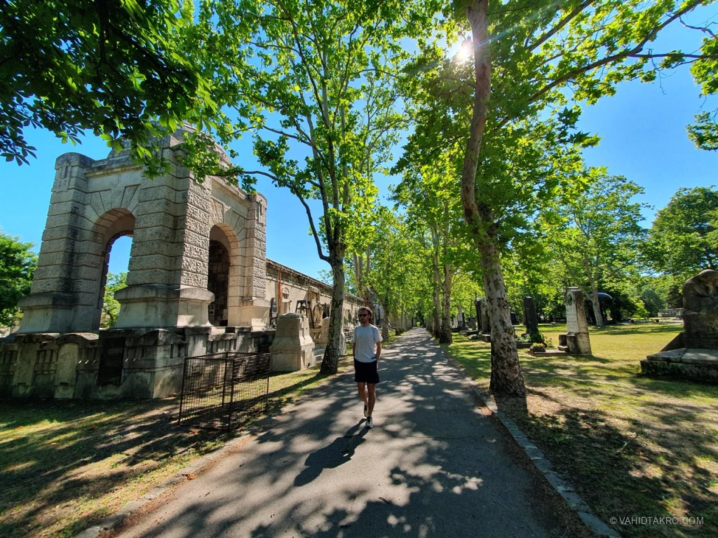 a-fiumei-ti-s-rkert-d-li-rk-dsora-fiumei-road-cemetery-vahidtakro-4.webp