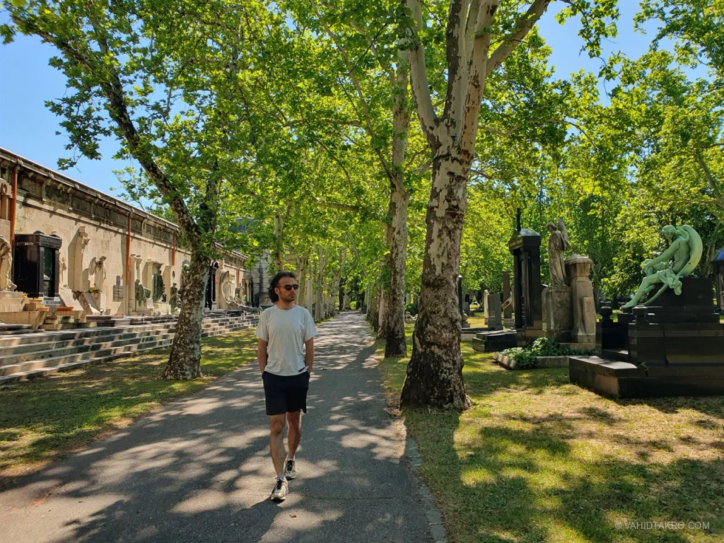 a-fiumei-ti-s-rkert-d-li-rk-dsora-fiumei-road-cemetery-vahidtakro-5.webp