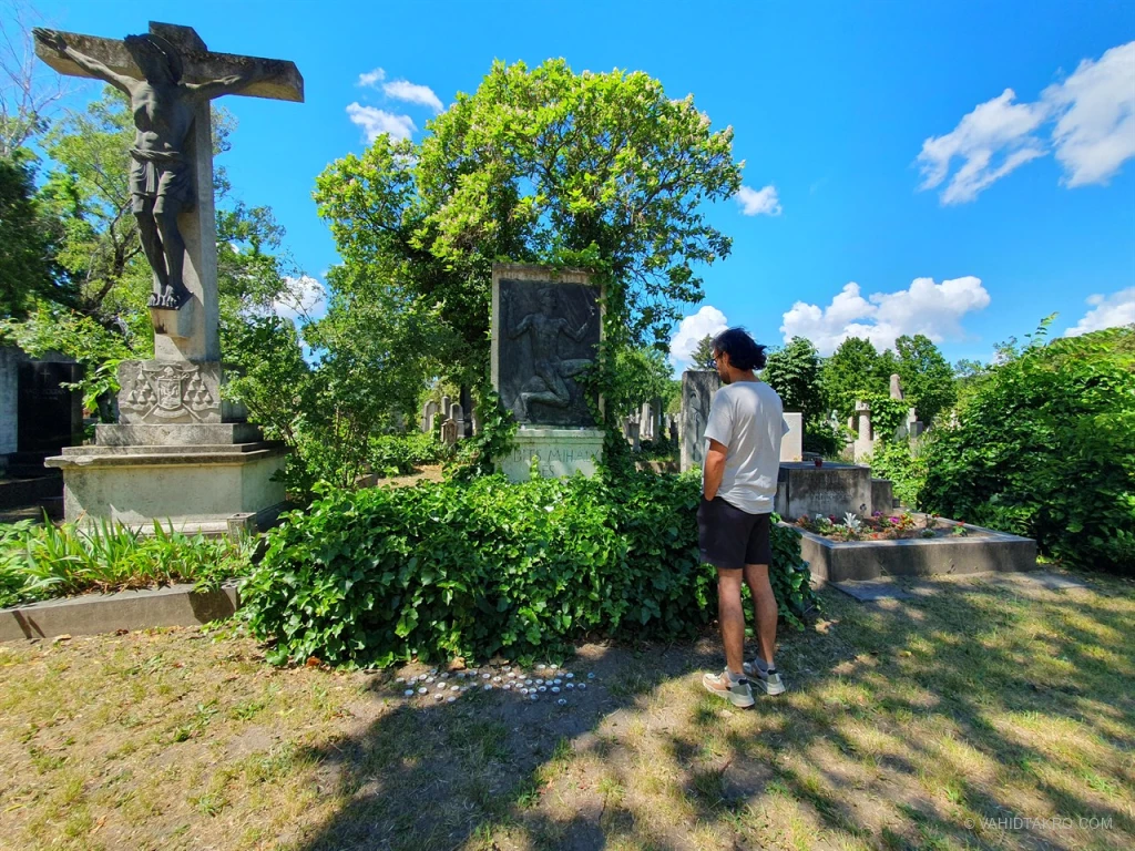 mih-ly-babits-tomb-vahidtakro.webp